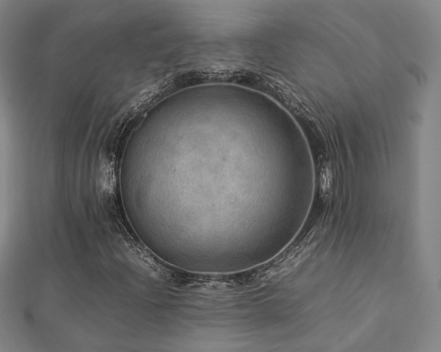 X0000112771204200908201459