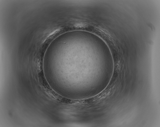 X0000112771205200908201459