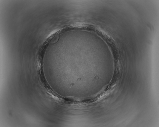 X0000112771206200908201459