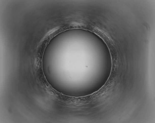 X0000112771207200908201459
