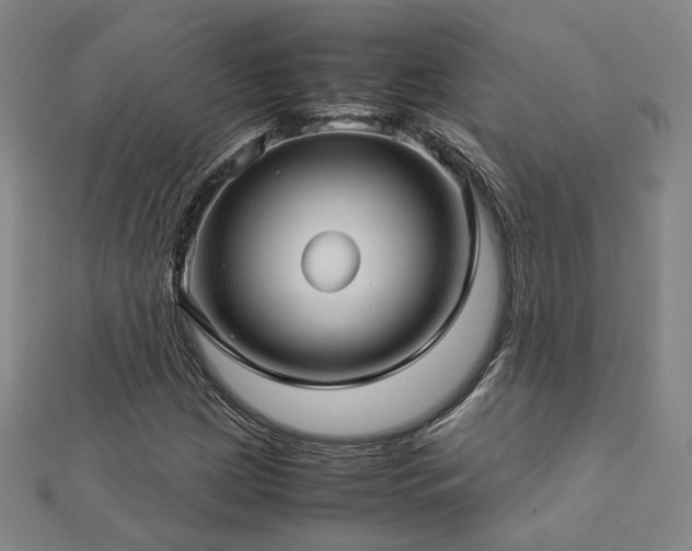 X0000112771209200908201459