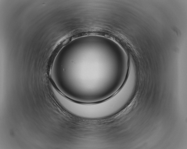 X0000112771210200908201459