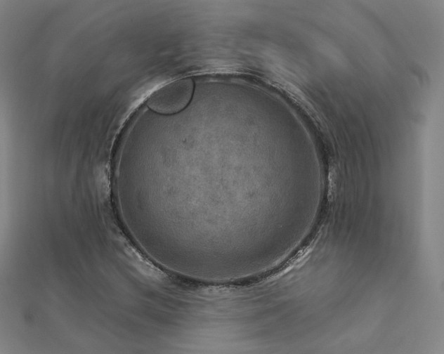 X0000112771212200908201459