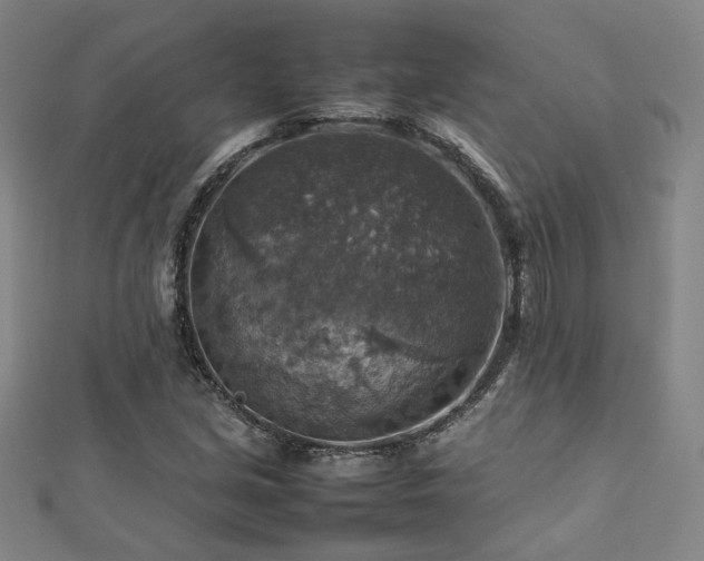 X0000112771213200908201459