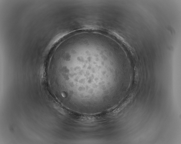 X0000112771215200908201459