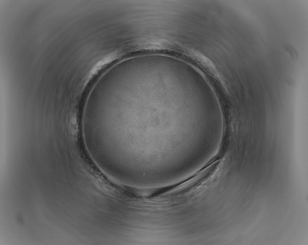 X0000112771218200908201500