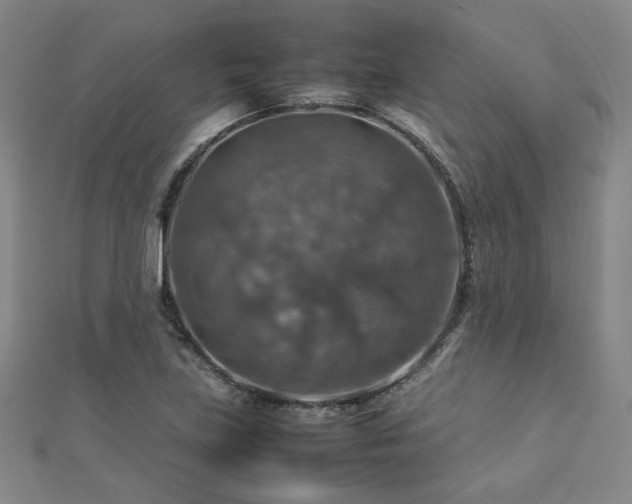 X0000112771219200908201500