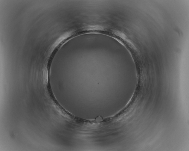 X0000112771221200908201500