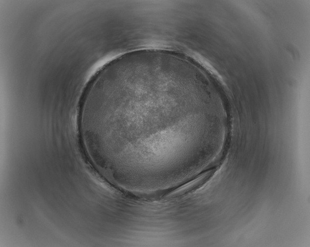 X0000112771222200908201500
