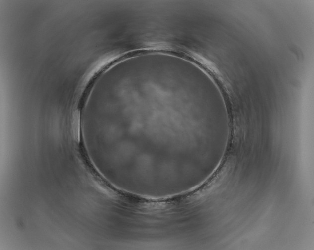 X0000112771223200908201500