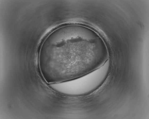 X0000112771224200908201500
