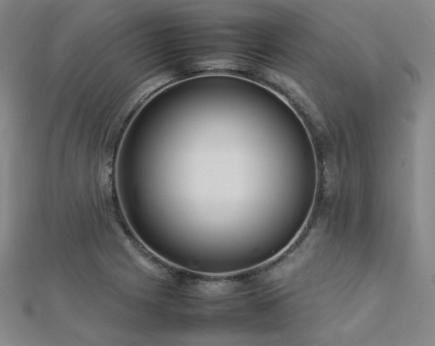 X0000112771225200908201500