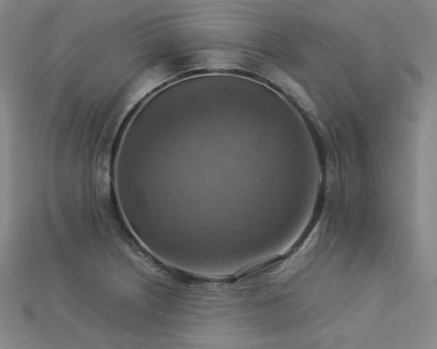 X0000112771226200908201500