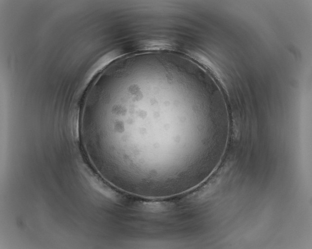 X0000112771227200908201500