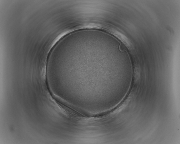 X0000112771228200908201500