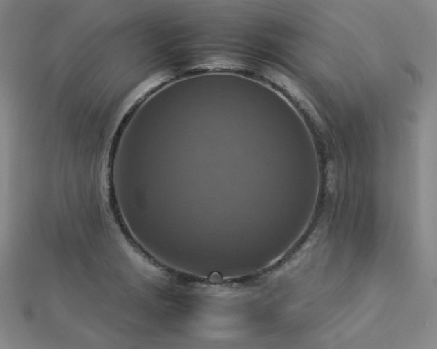 X0000112771229200908201500