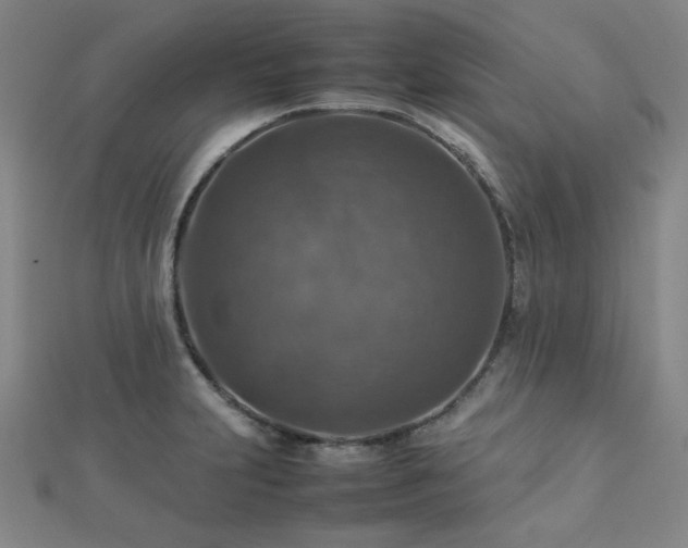 X0000112771231200908201500