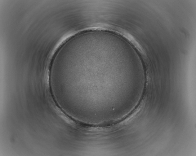 X0000112771232200908201500