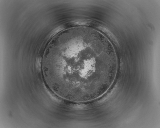 X0000112771233200908201500