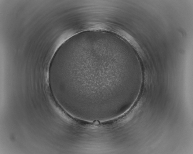 X0000112771234200908201500