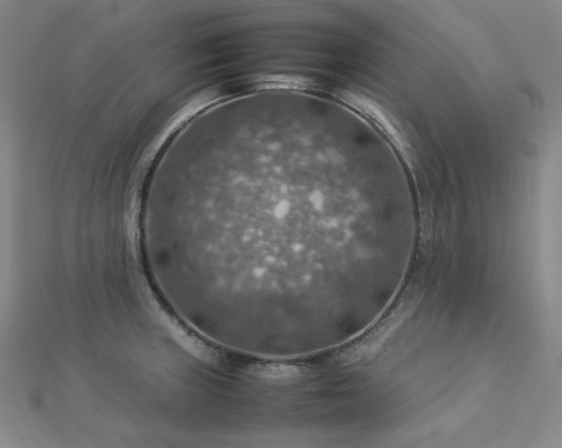 X0000112771235200908201500