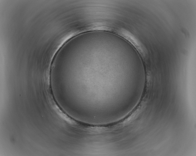 X0000112771236200908201500