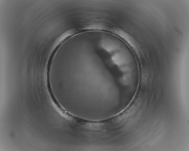 X0000112771237200908201500