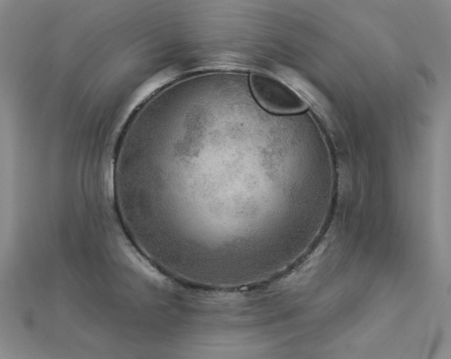 X0000112771238200908201500