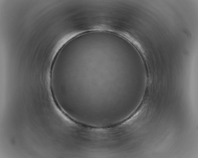 X0000112771239200908201500