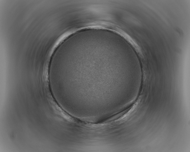 X0000112771240200908201500
