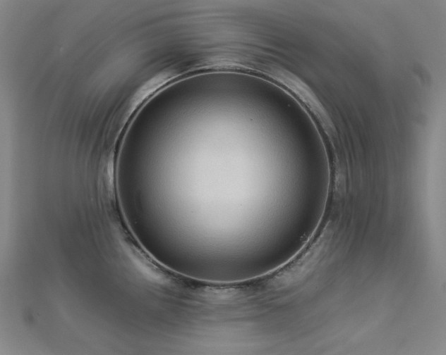 X0000112771242200908201500