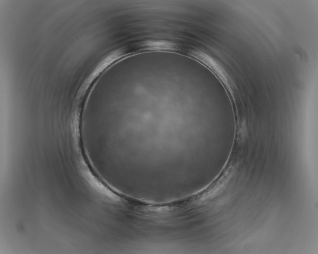 X0000112771243200908201500