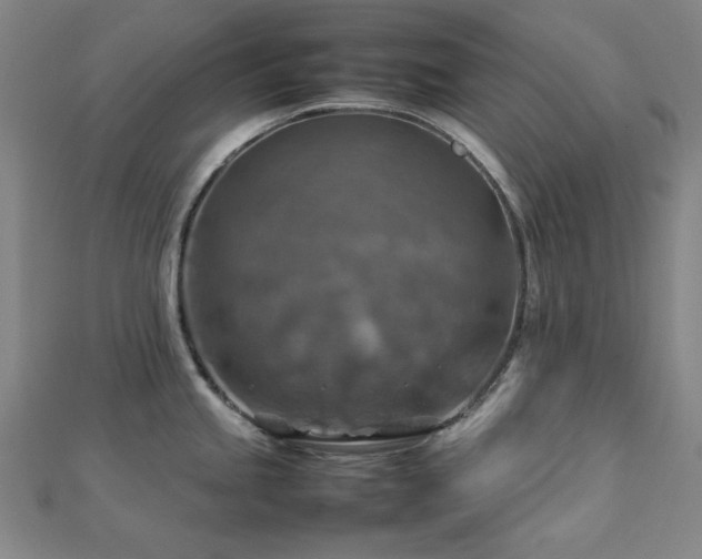 X0000112771245200908201500