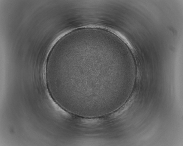 X0000112771247200908201500