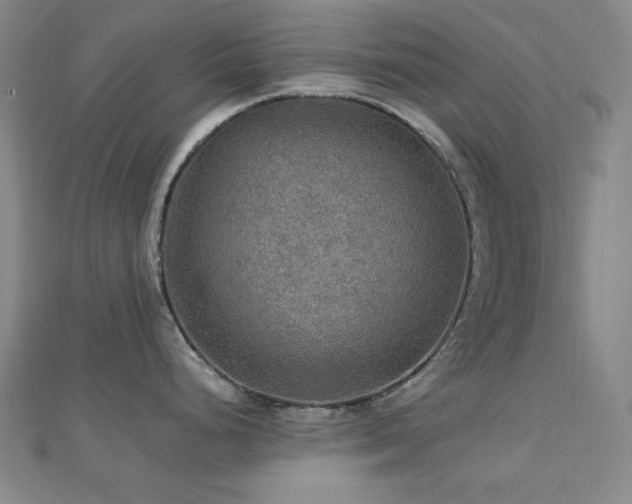 X0000112771248200908201500