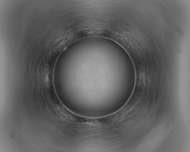 X0000112771250200908201459