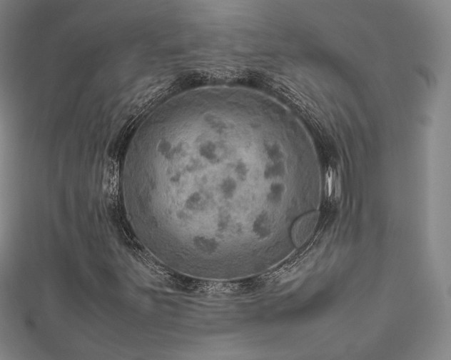X0000112771251200908201459