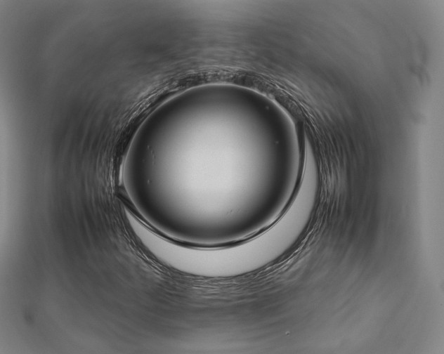 X0000112771252200908201459