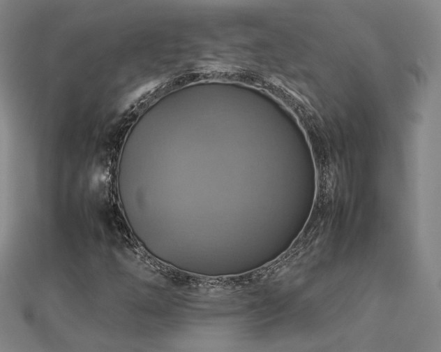 X0000112771254200908201459