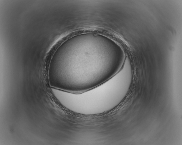X0000112771256200908201459