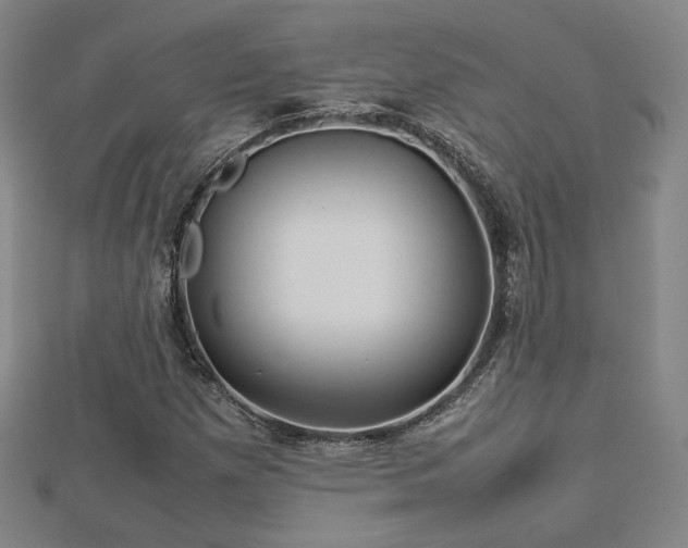 X0000112771257200908201459