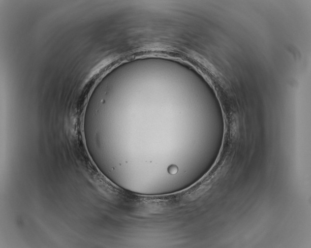 X0000112771258200908201459
