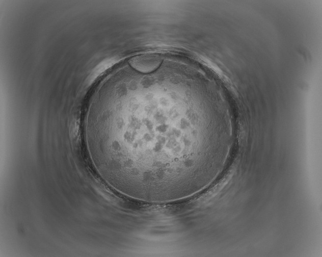 X0000112771259200908201459