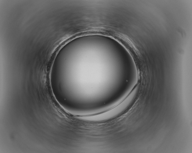 X0000112771260200908201459