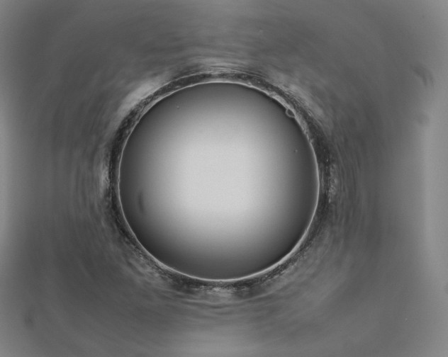X0000112771261200908201459