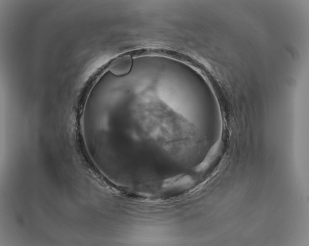 X0000112771263200908201459