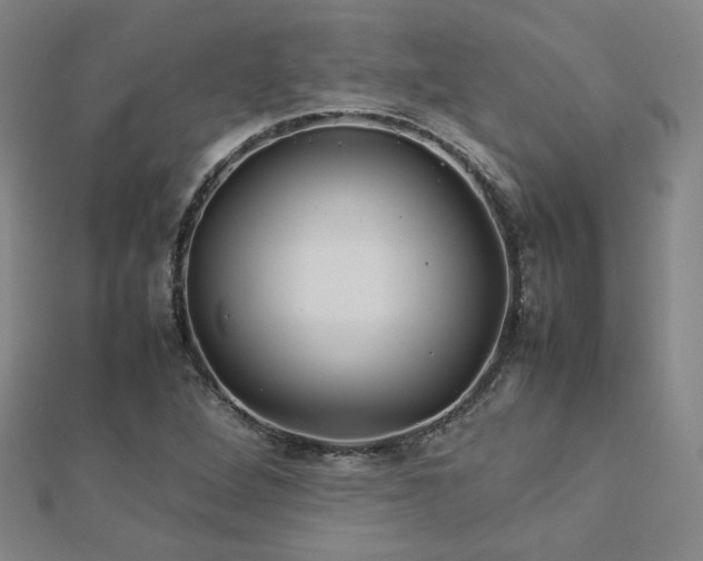 X0000112771264200908201459