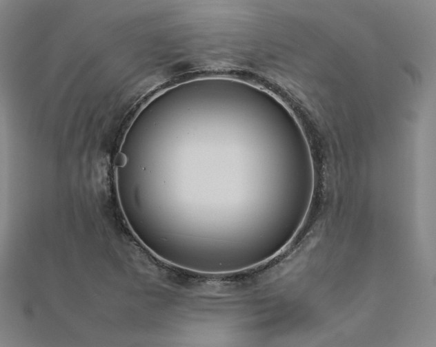 X0000112771265200908201459