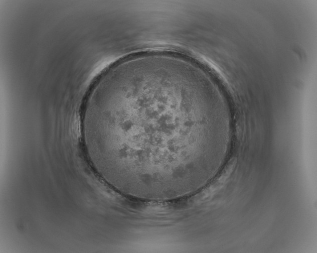 X0000112771267200908201459