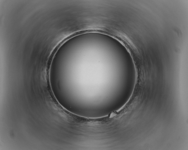 X0000112771268200908201459